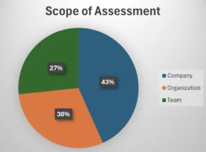 SAMM Benchmark demographics: assessment scope.