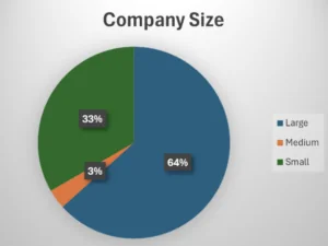 SAMM Benchmark demographics: assessment company size.