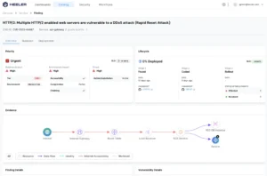 vulnerability details in Heeler