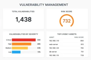 Vulnerability and pseudo-risk dashboard
