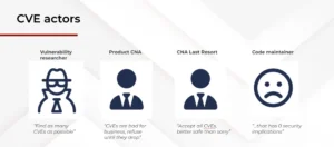 Different actors involved in the CVE process